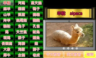 動物小學堂 screenshot 1