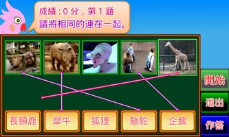 動物小學堂 screenshot 3
