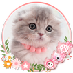 🐱Pelancar Cute Kitty Cat Tema