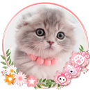 Cute Cat Live Launcher Theme 3 APK