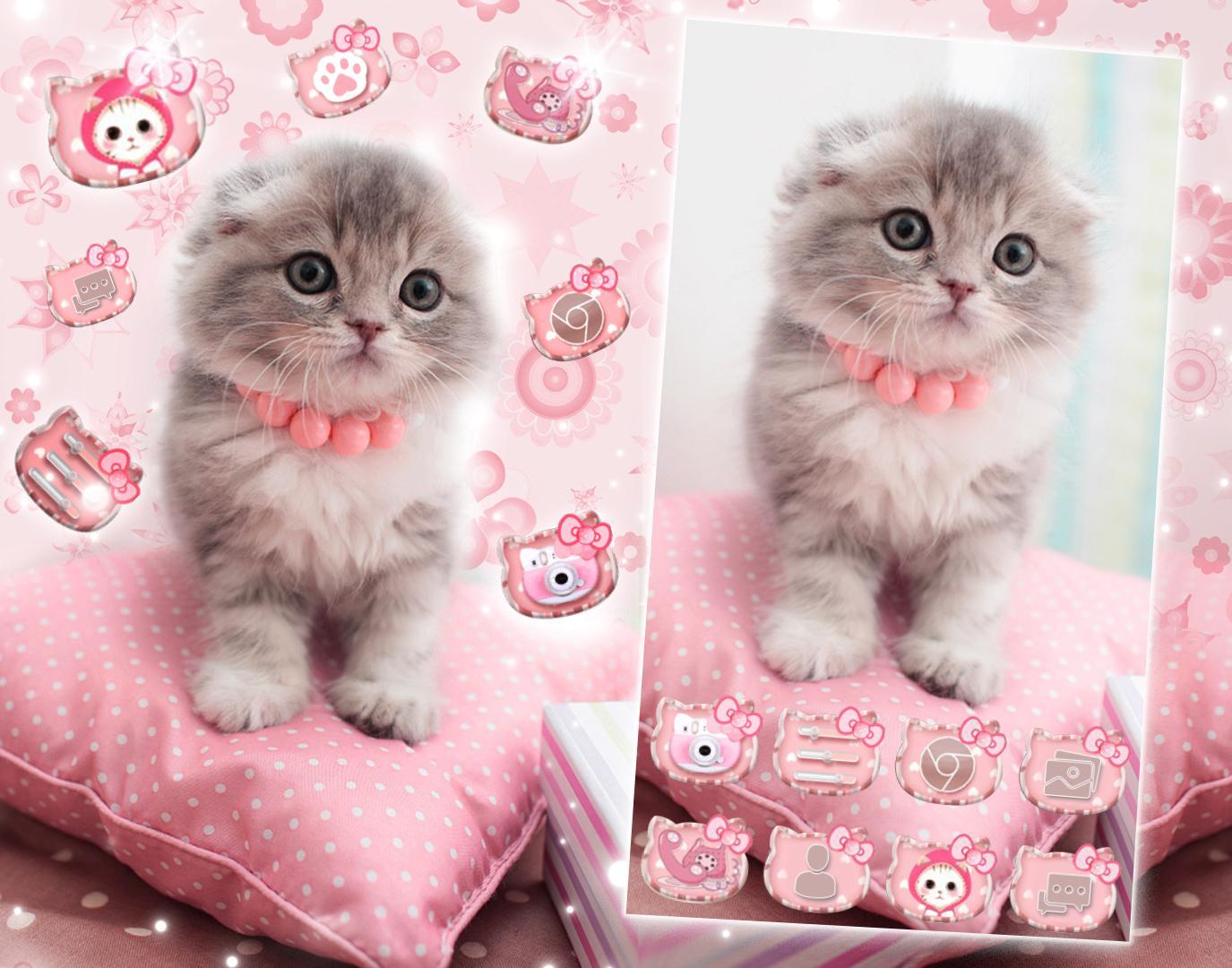 Pink Anak Kucing  Kartun Animasi Tema 3D  Wallpaper  for 