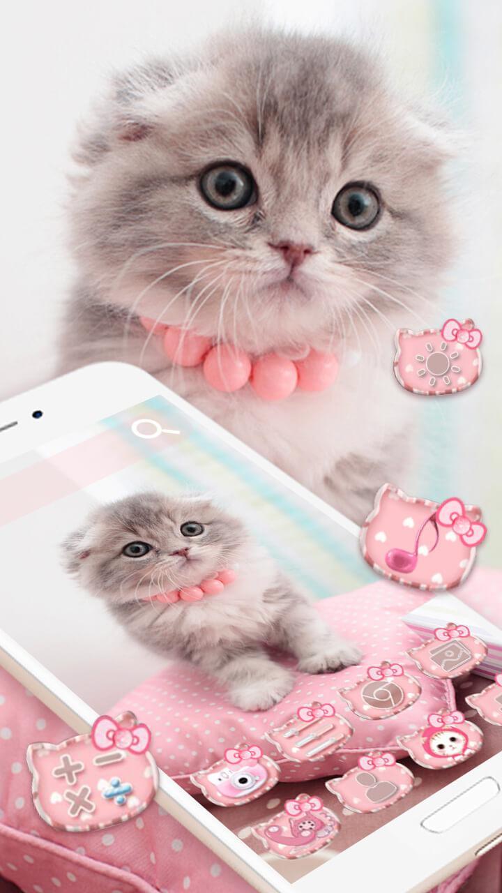 Pink Anak Kucing Kartun Animasi Tema 3d Wallpaper For Android Apk Download