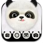 Panda mignon thème fond d’écra icône