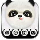 Lindo Panda Tema en Vivo HD Fo icono