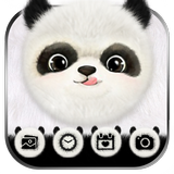 Cute Panda Launcher Theme Live icon