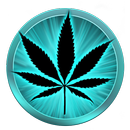 Neon Weed Fire Launcher Theme Live HD Wallpapers APK