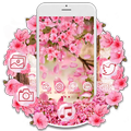 Pink Sakura Flower Launcher Theme HD Wallpapers