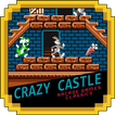 Crazy Funny Castle