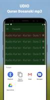 Quran Bosanski Audio mp3 app ảnh chụp màn hình 3