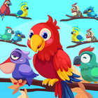 Bird Sort Puzzle أيقونة