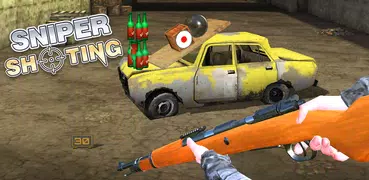 Sniper Shooting : 3D Gun Game