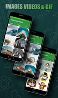 Status Downloader poster