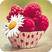 Fruit Wallpapers آئیکن
