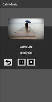 Relaxing Calm Music Offline capture d'écran 2