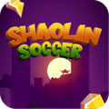 Shaolin Soccer Star