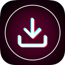 SnapX VidMad Video Downloader APK