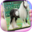 Gypsy Horse Keyboard
