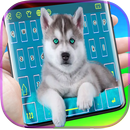 Siberian Husky Puppie Keyboard aplikacja