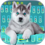 Love Siberian Husky LED Theme