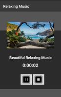 Relaxing Music स्क्रीनशॉट 2