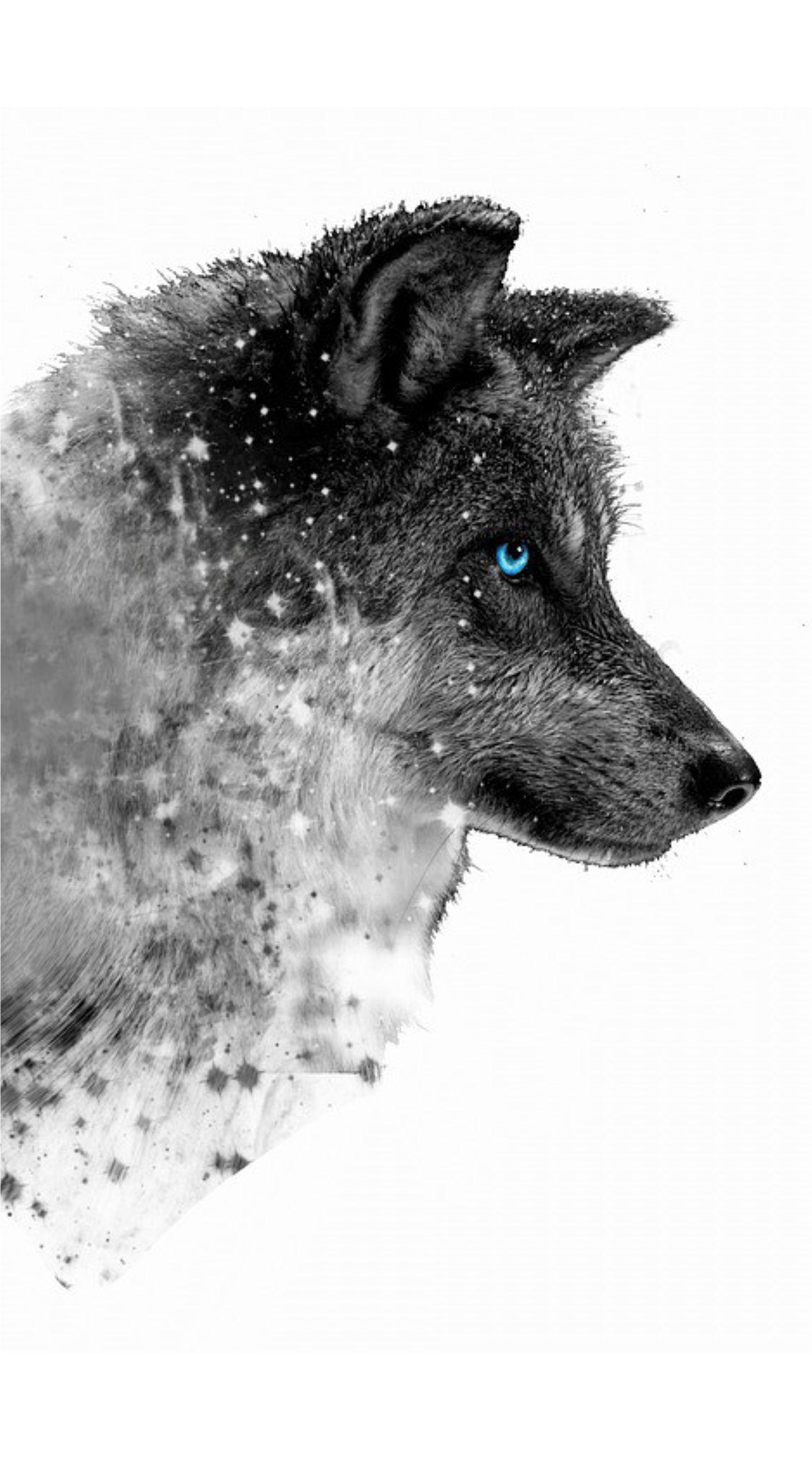 Fox Wolf Wallpaper HD For Android APK Download