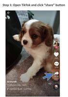 Free Video Downloader for TikTok screenshot 1