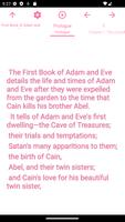 Book: Book of Adam and Eve Affiche