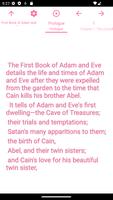 Book: Book of Adam and Eve Poster