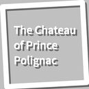 Book, The Chateau of Prince Po APK