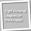 Book, Eight Hundred Leagues on