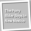 Book, The Pony Rider Boys in New Mexico APK