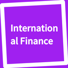 Book, International Finance icône