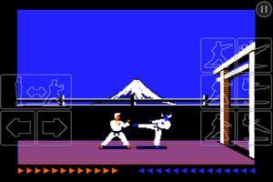 Karateka Classic plakat