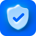VPN