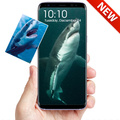Whale Wallpaper HD