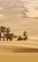 Desert Wallpapers 截圖 2