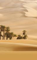 خلفيات الصحراء تصوير الشاشة 2