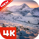 冬季壁纸和背景❄️ APK