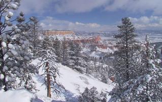 خلفيات الشتاء والخلفيات ❄️ تصوير الشاشة 1