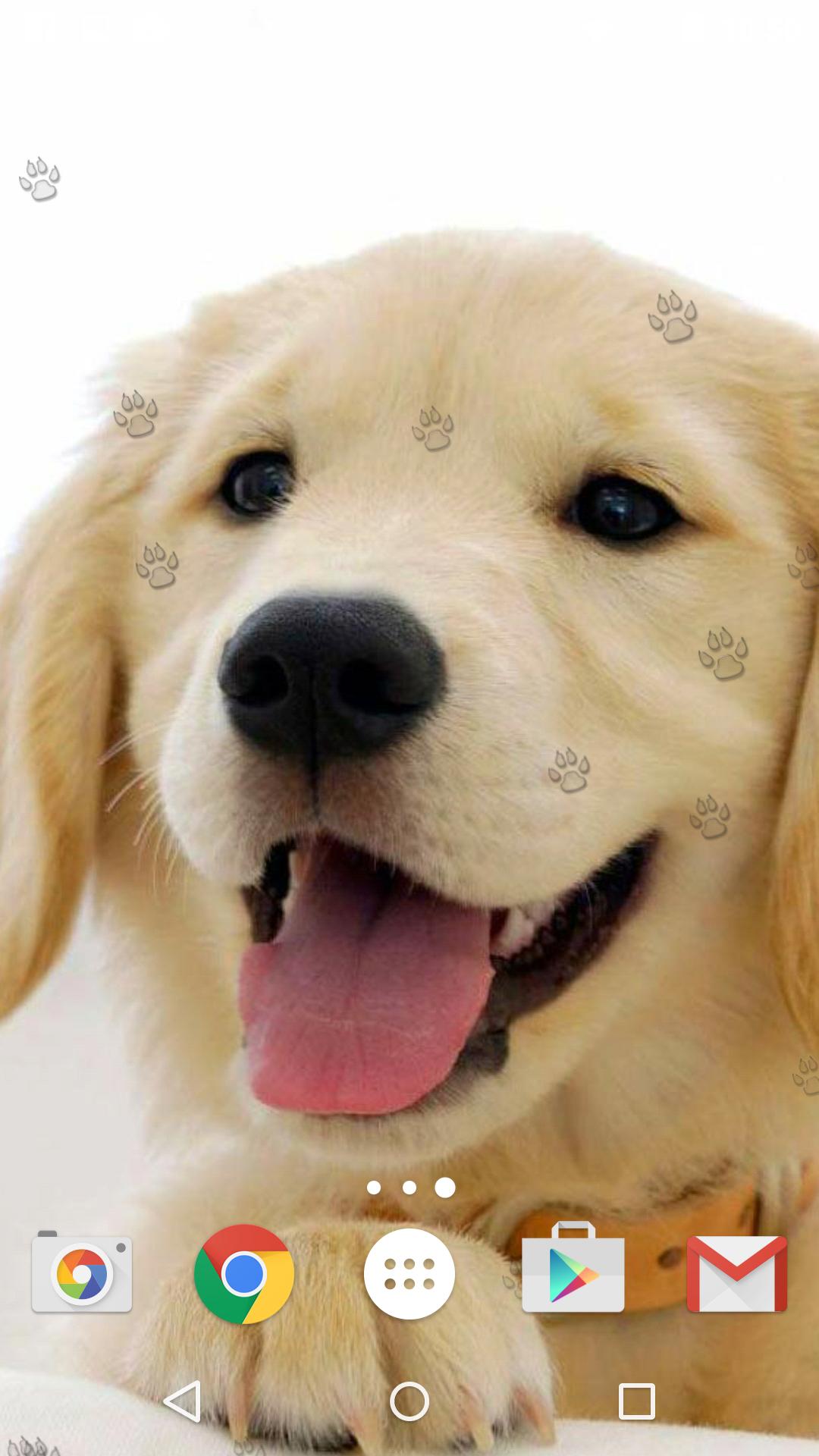 Android 用の かわいい子犬 ライブ壁紙 Apk をダウンロード
