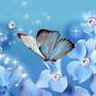 Butterfly Live Wallpaper