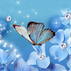 Butterfly Live Wallpaper আইকন