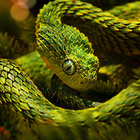 Serpent Fond d'écran Animé icône