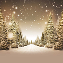 Winter Wallpaper APK