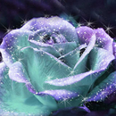 3D Rose Live Wallpaper APK