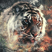 Harimau Wallpaper Animasi