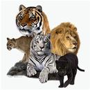 Animal Sounds APK