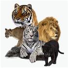 Animal Sounds иконка