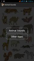 Animal Sounds постер