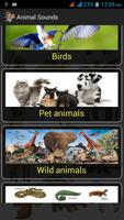 Animal Sounds скриншот 1
